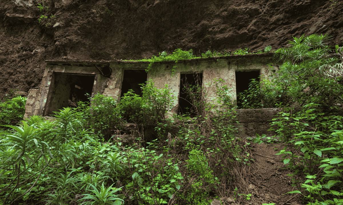 Ruins of an ancient stone building overgrown with vegetation in the Barranco de Badajoz, Güímar, Tenerife.