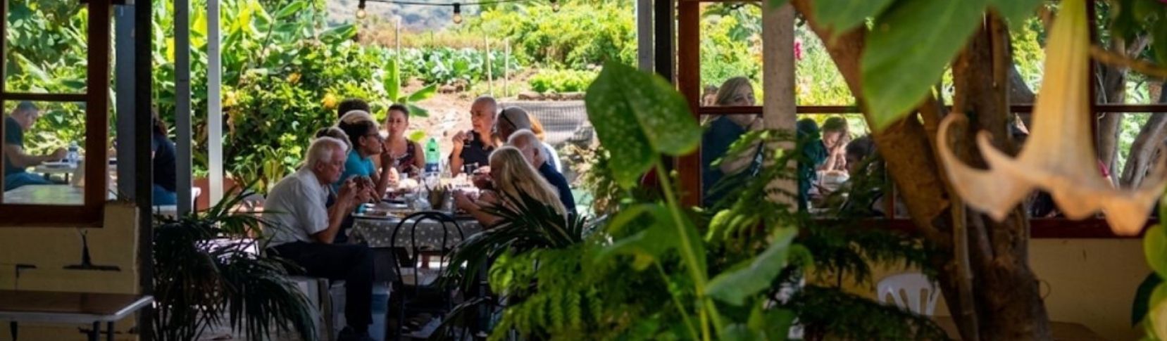 Clientes disfrutando de una comida en la terraza exterior del Guachinche El Cubano, La Orotava, Tenerife. Crédito de la foto, Guachinche el Cubano