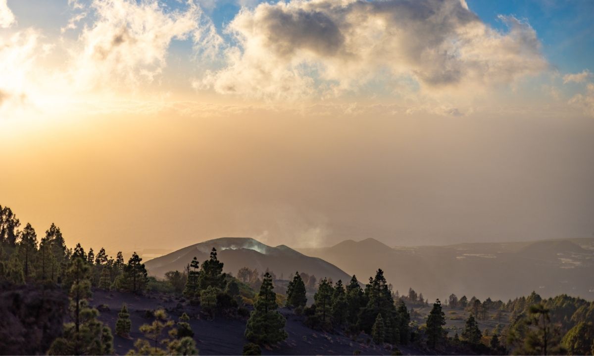 Vista panorámica de la erupción del volcán Tajogaite en La Palma, Canarias, con pinos canarios en primer plano.
