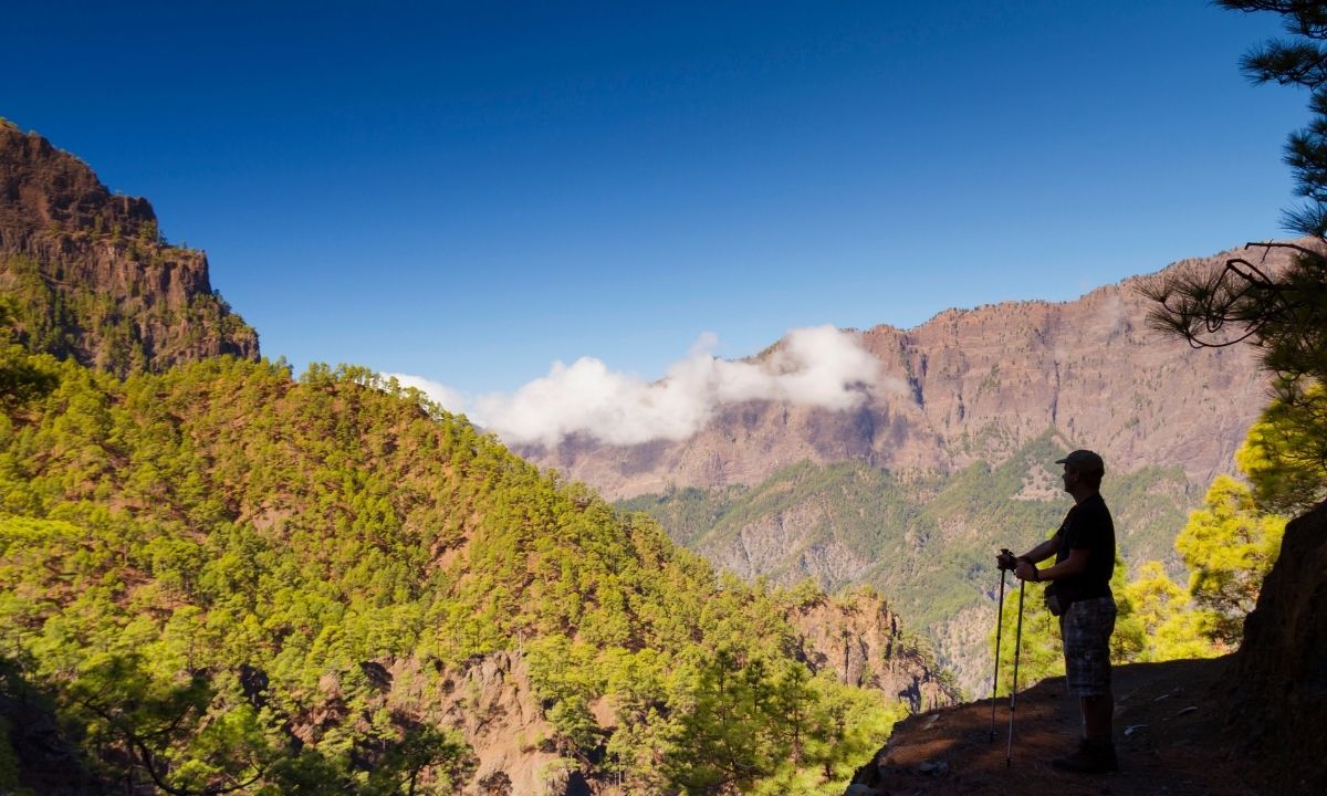 Senderista observando las picos y pinares del Parque Nacional de la Caldera de Taburiente