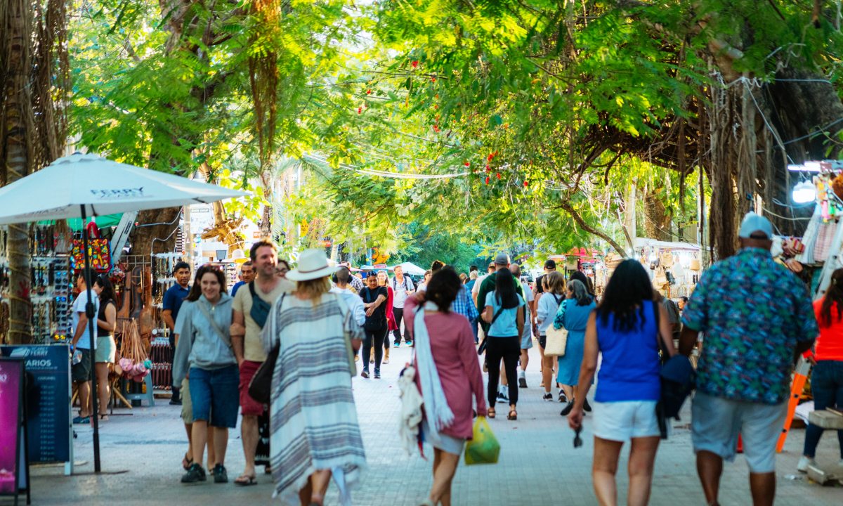 Quinta Avenida de Paseo del Carmen