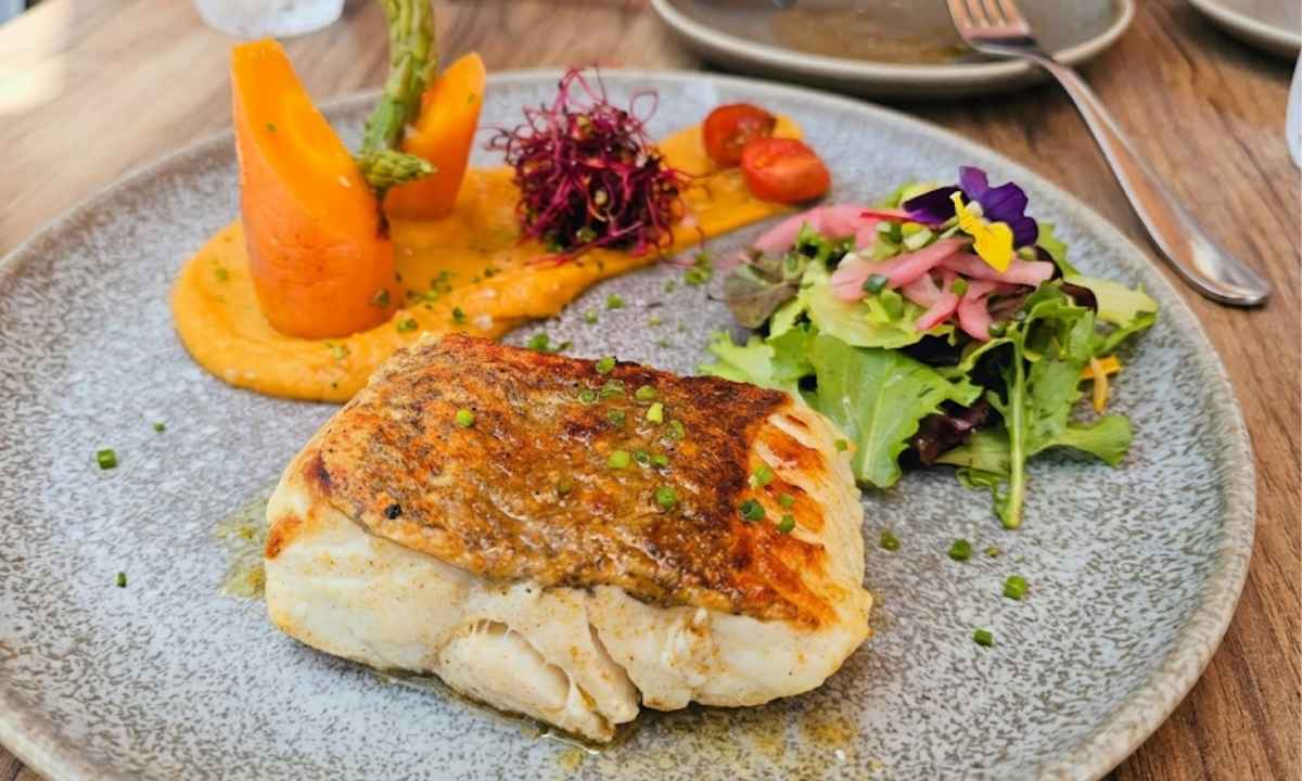 Filete de cherne a la plancha servido con puré de zanahoria, espárragos y ensalada en plato cerámico.