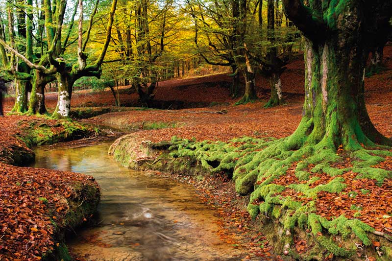 parque natural de urkiola en otoño