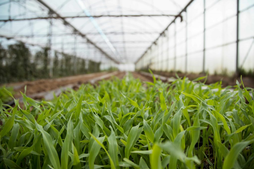 Garden Hotels: caring for our land and our community - Garden Hotels