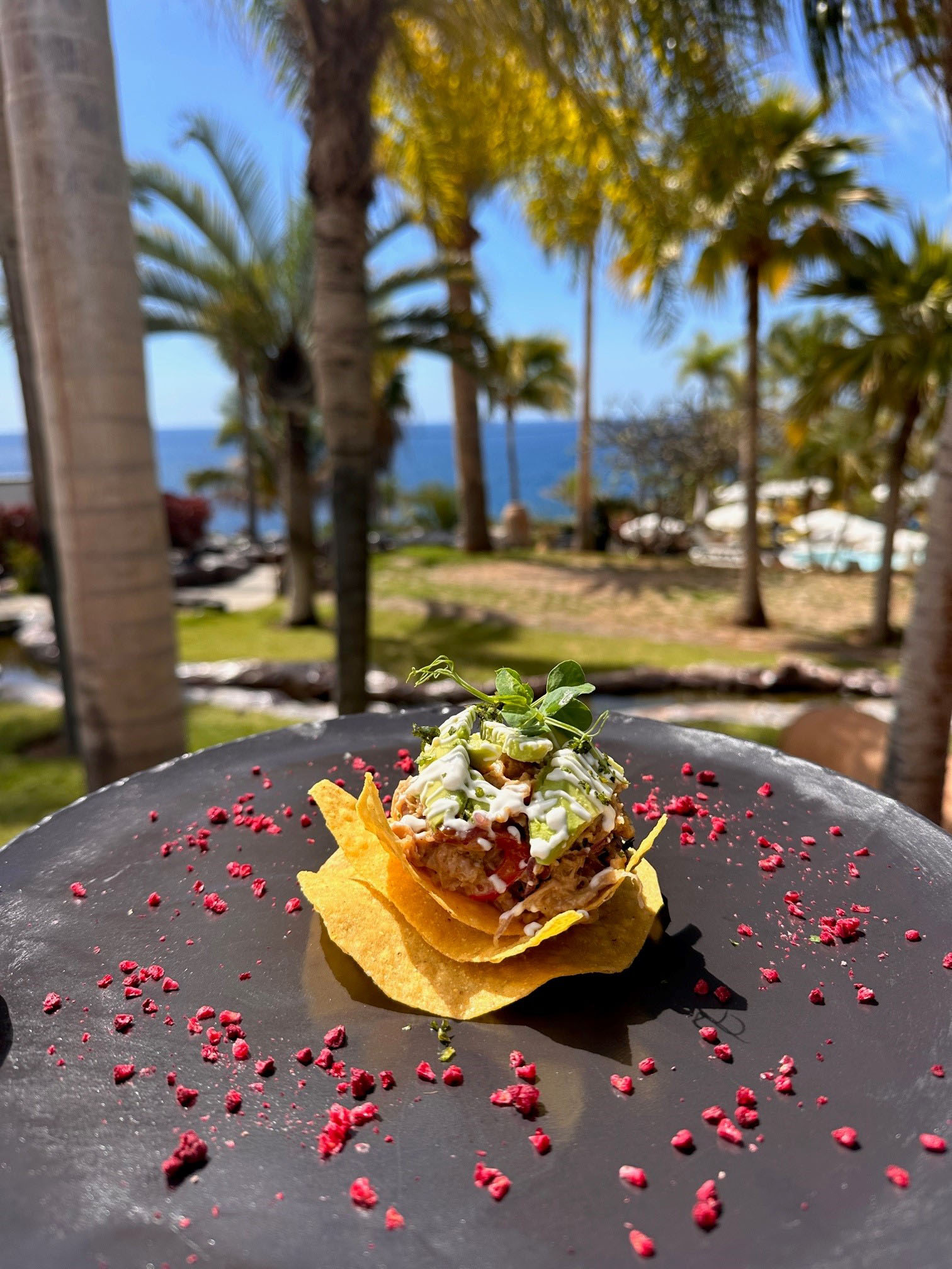 Para&iacute;so vegetariano en el sur de Tenerife - Adrian Hoteles