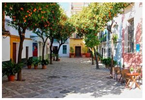 What to do in Seville during the summer - Hotel Kivir