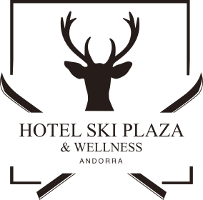 Hotel Ski Plaza Andorra